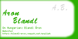 aron blandl business card