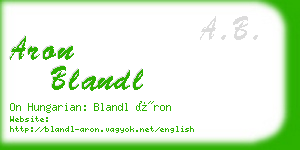 aron blandl business card